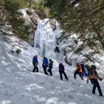 Від 11 до 15 лютого відбувся міжкрайовий пластовий табір «Школа льоду»